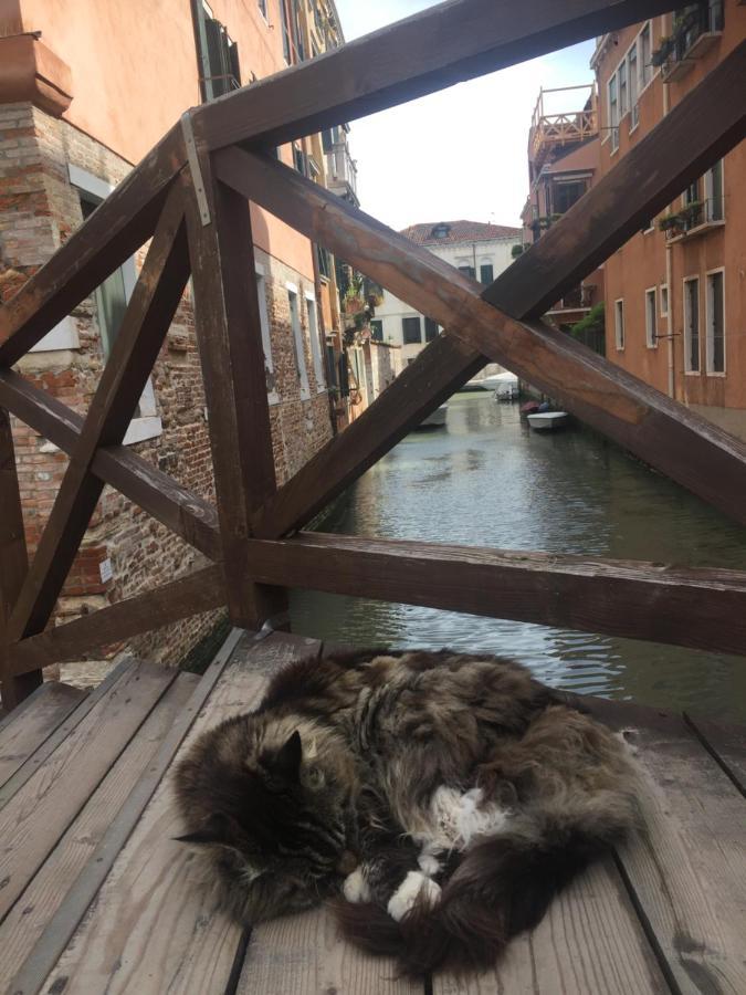 Tintoretto Vista Real Venice Ngoại thất bức ảnh